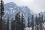 Manali & Kullu 4N/5D 2