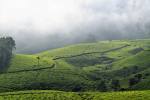 Munnar 2N/3D 2