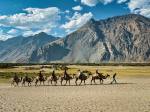 Leh & Ladakh 4N/5D 4