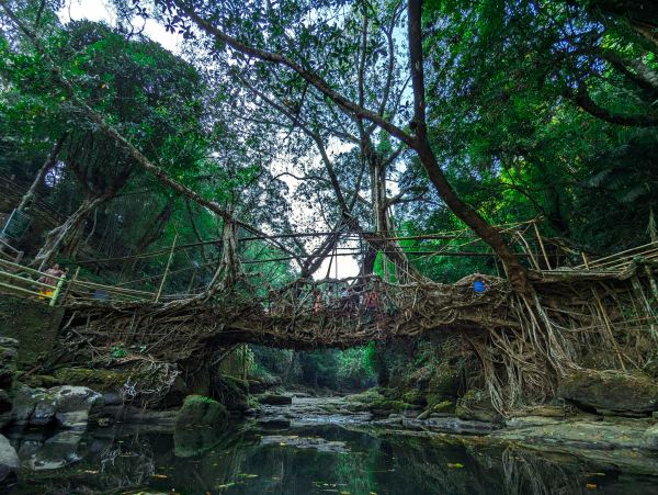 Meghalaya